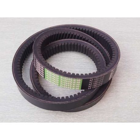 Pas 89515076, 9515076, 1001416, 1541569C2, 301146A1 - OPTIBELT