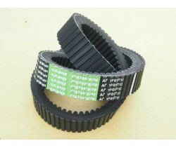 Pas 644418.0, 644418.1, 661429.0, 603015.0, 628630.0 - OPTIBELT Germany - dwustronnie uzębiony - Claas Dominator młocarnia