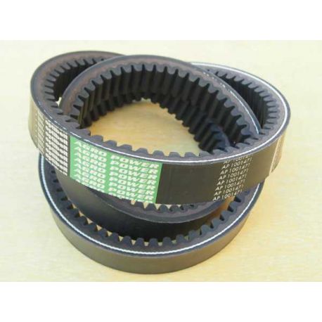 Pas 621646 M1, 417441 M1, 1001471 - młocarnia Massey Ferguson 506, 186, 187 - OPTIBELT Germany