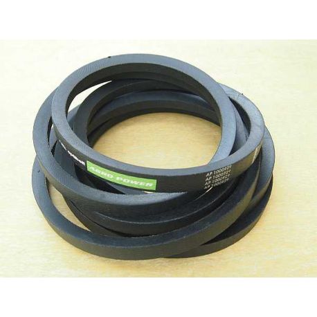 Pas 653120.0 - OPTIBELT - wytrząsacze CLASS MERCATOR, PROTECTOR, AP1000929, 25x5761