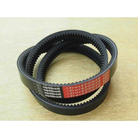 2-AVX10x1600 La - OPTIBELT Germany - TruckPower