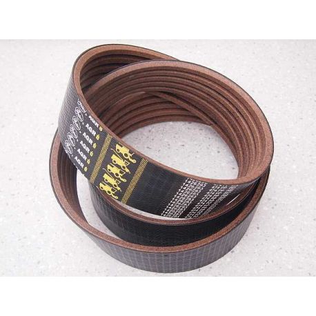 Pas 667453.0, 352403.0, 1426293 - GATES - Claas Lexion młocarnia, 5HBx3290, 5HB3290