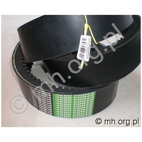 Pas D 419810000 - ORYGINAŁ OPTIBELT Germany - NAJLEPSZA PROMOCJA