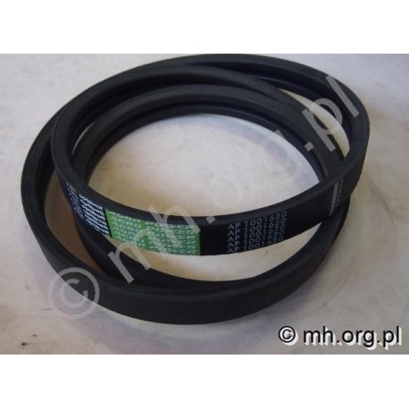 Pas 87564450, 1315266C1, 1001620 - OPTIBELT Germany