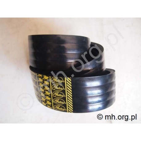 Pas 629279.0, 176542.1, 176542.0, 2025172, 2025173 - GATES - Class Dominator , Comanndor, Jaguar - napęd jazdy 4HB