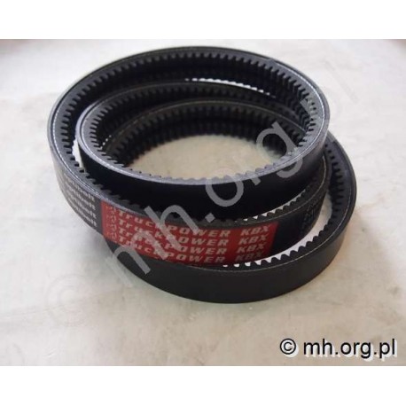 Pas 2-AVX10x1400 La OPTIBELT - TruckPower - Made in Germany