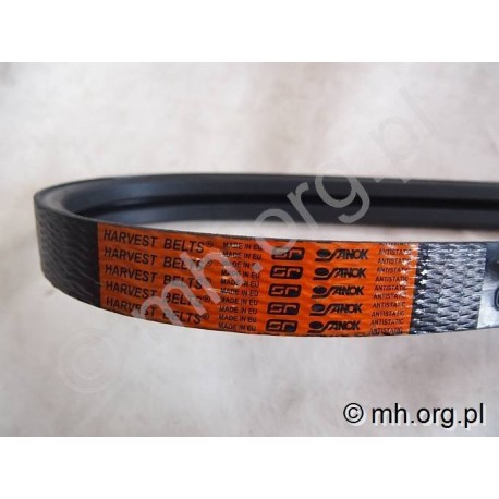 Pas MF D41978100, D 41978100  - HARVEST Belts - Sanok