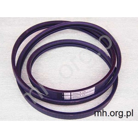 Pas Z43888, 101102M1 - OPTIBELT 