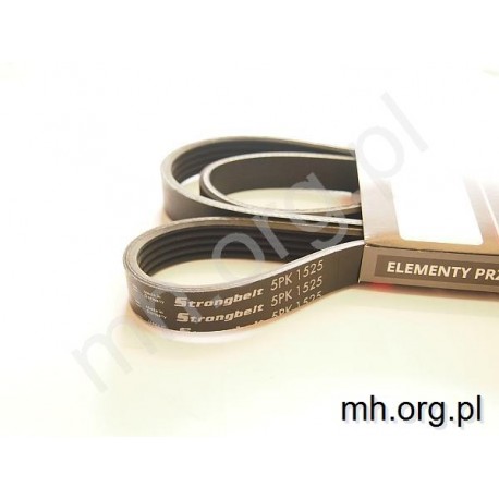 Pas 5PK 1525 Strongbelt Germany - pasek wielorowkowy 5K 1525, PK1525V5, 600K5, 5K1525, PK1525/5K