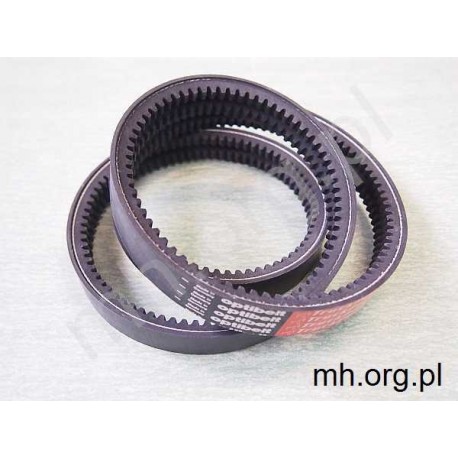 2-AVX10x1600 La - OPTIBELT Germany - TruckPower